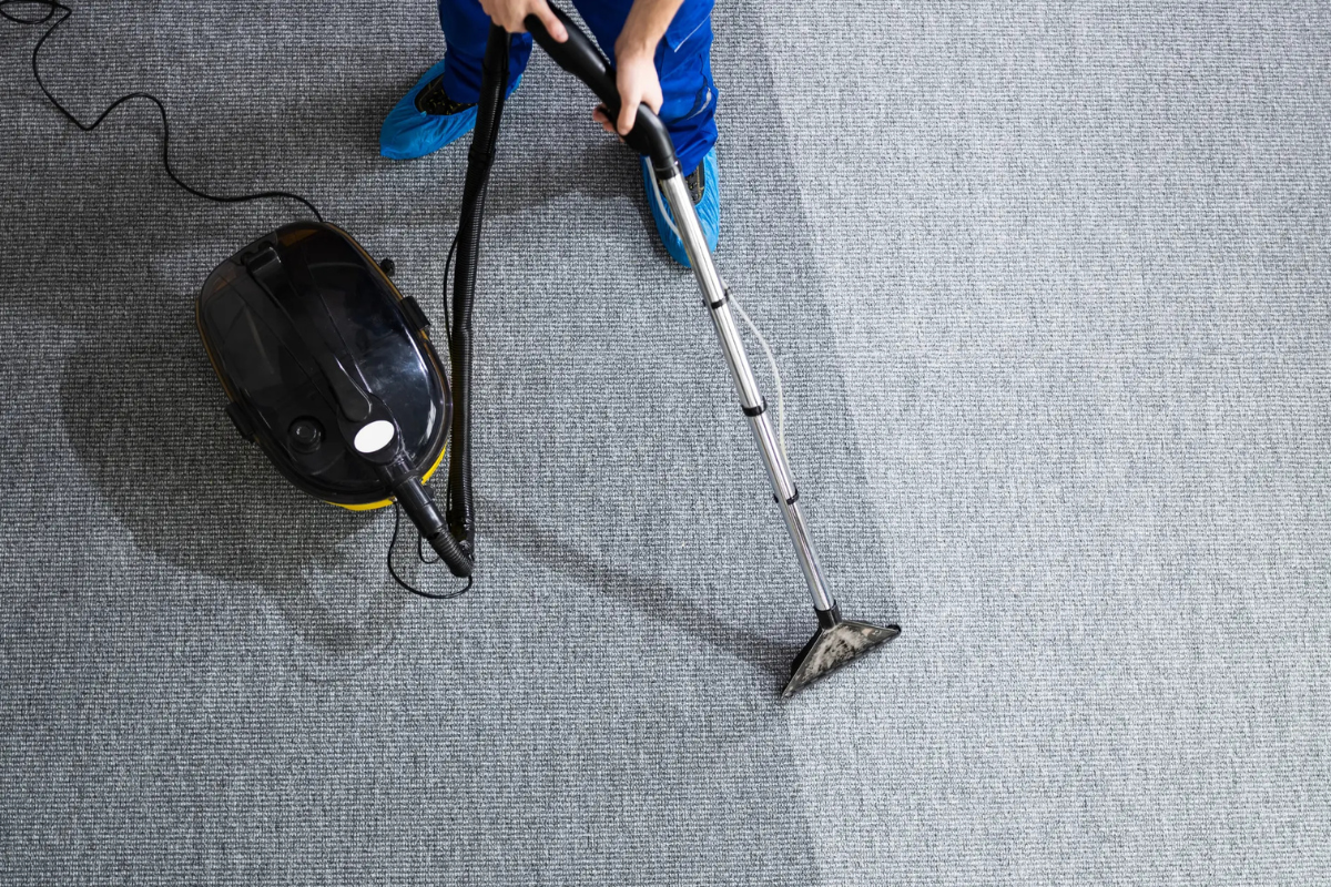 Read more about the article Canister Vacuum Cleaners 101: Pros, Cons & Reasons to Invest